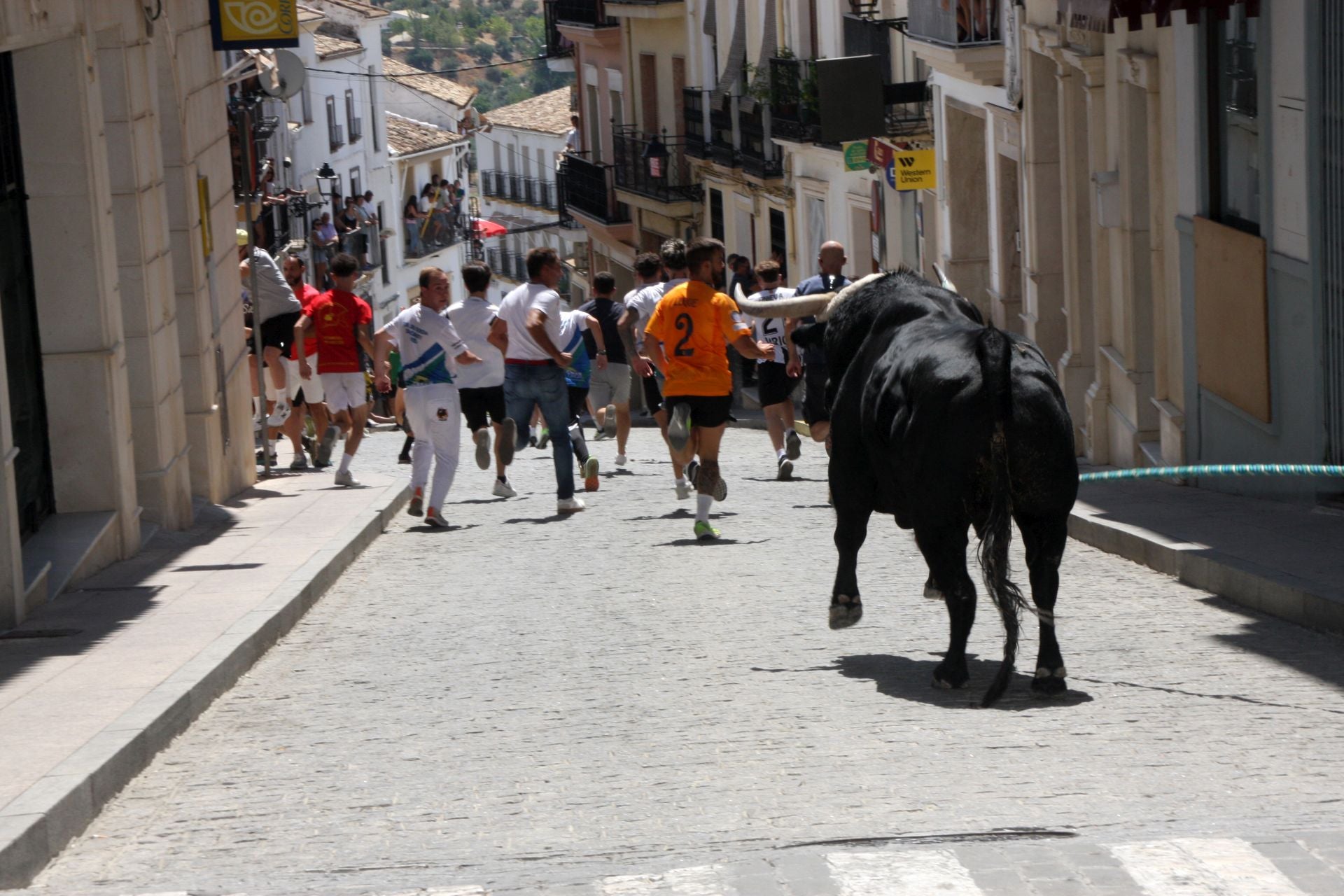 El emocionante Toro de Cuerda de Carcabuey, en imágenes