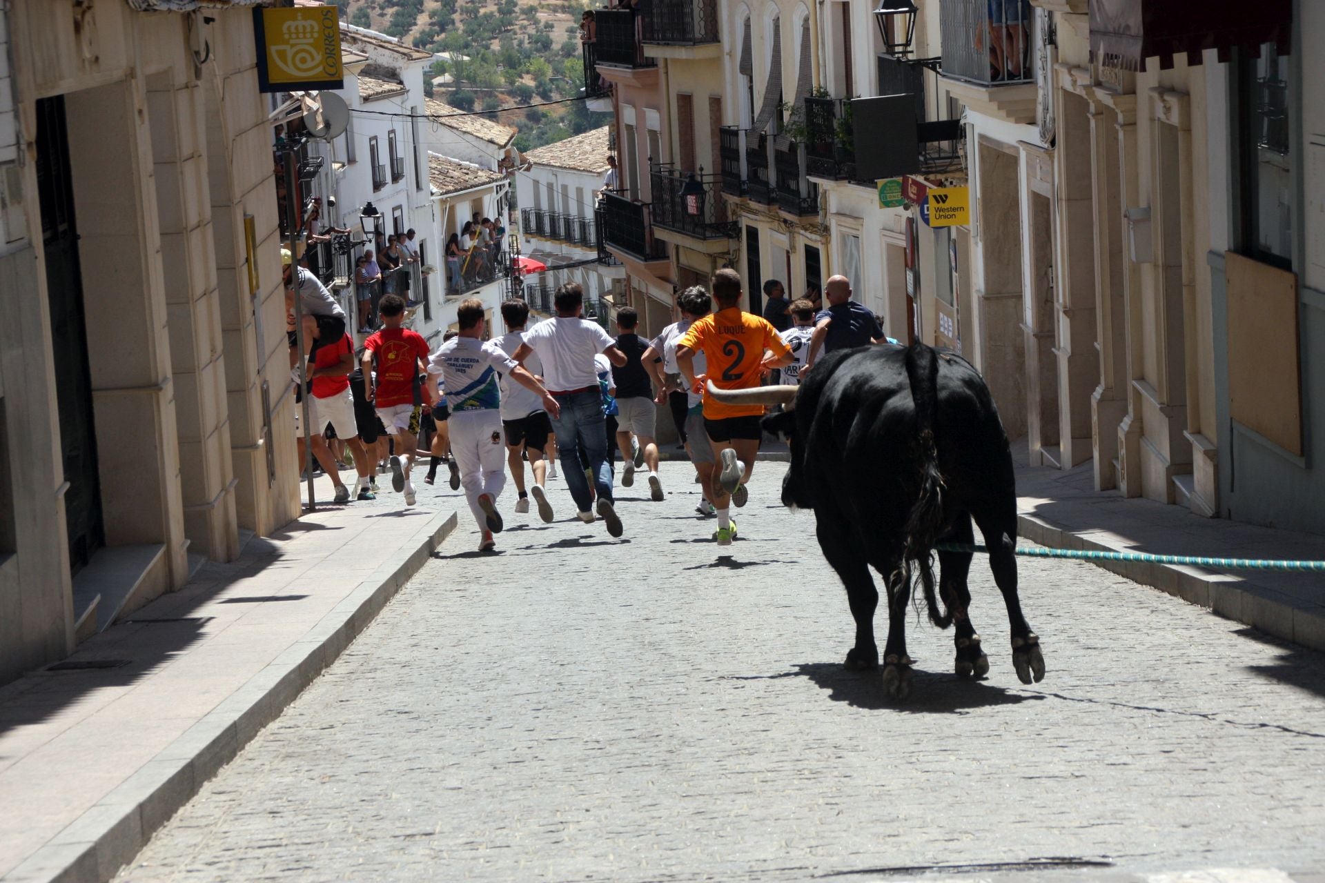 El emocionante Toro de Cuerda de Carcabuey, en imágenes