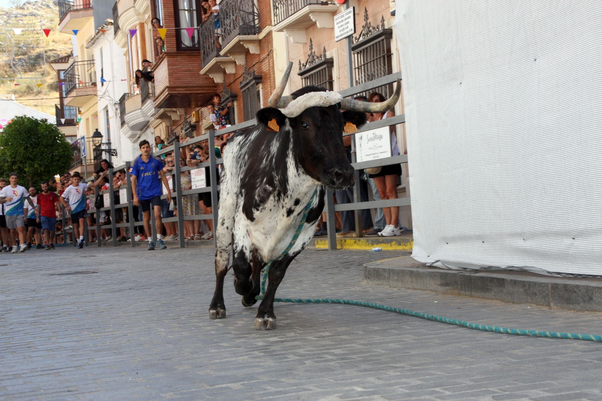 El emocionante Toro de Cuerda de Carcabuey, en imágenes
