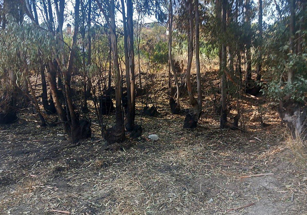 El incendio se originó en la zona de Las Barreras, junto a un camping