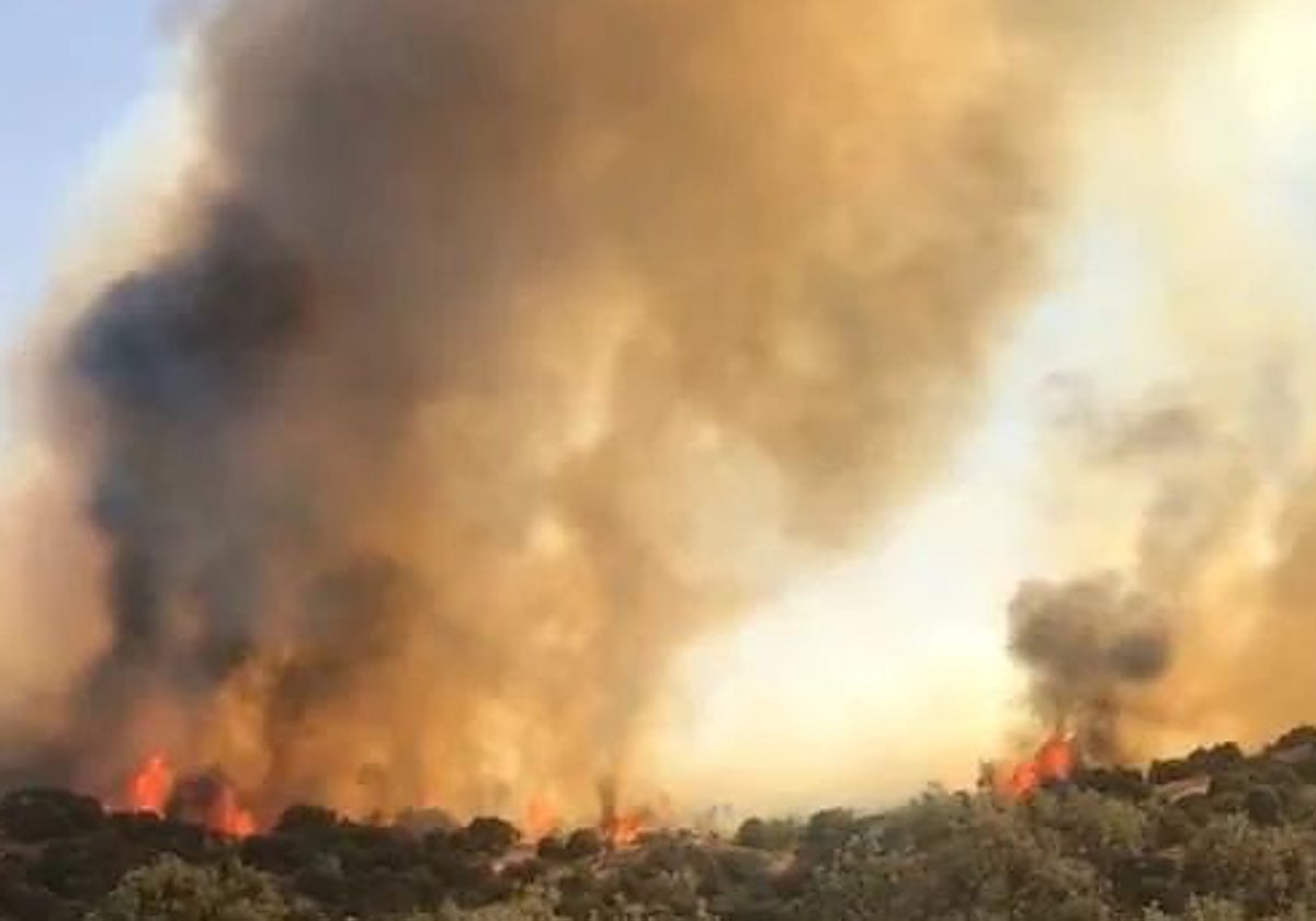 Incendio en la urbanización Montesión (Toledo)