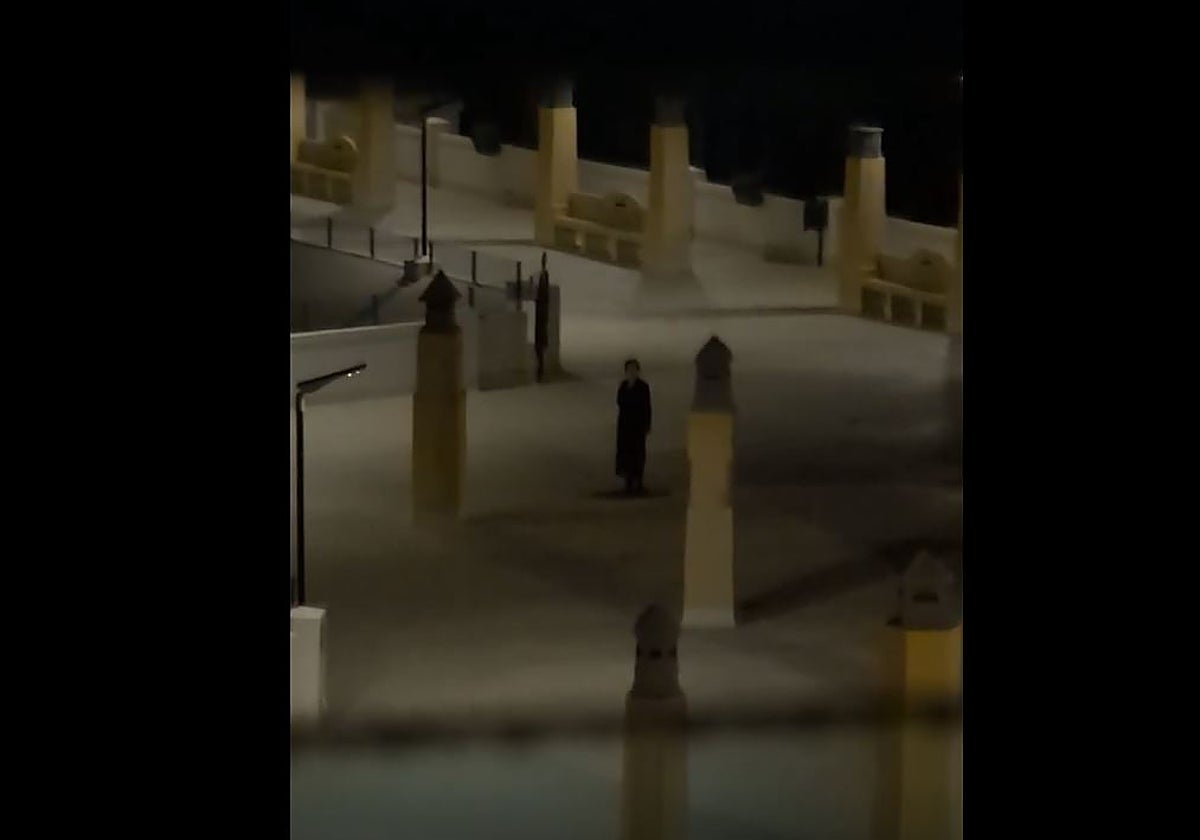 Captura del vídeo en la que se ve a la extraña mujer que observaba a los dos jóvenes