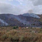 Imagen del incendio en la comarca de Alhama de Granada