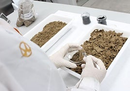 La innovadora apuesta del Centro Tecnológico ITE para convertir residuos de cuero en materiales con valor añadido y energía