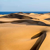 Hasta 300 personas al día se saltan la protección de las Dunas de Maspalomas (Gran Canaria)