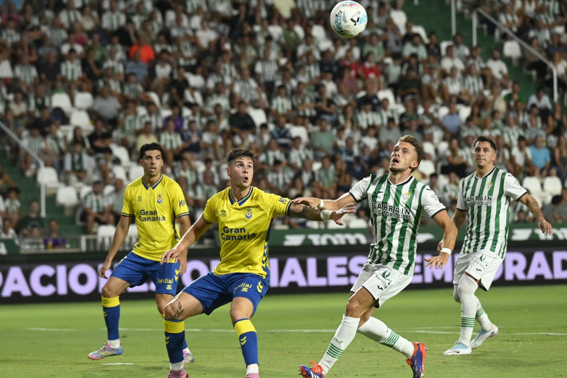 La dolorosa derrota del Córdoba ante Las Palmas, en imágenes