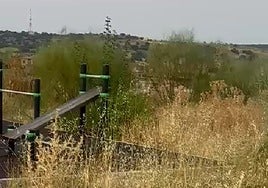 El PSOE denuncia el «mal estado» de las instalaciones deportivas de La Legua y acusa al alcalde de consentirlo