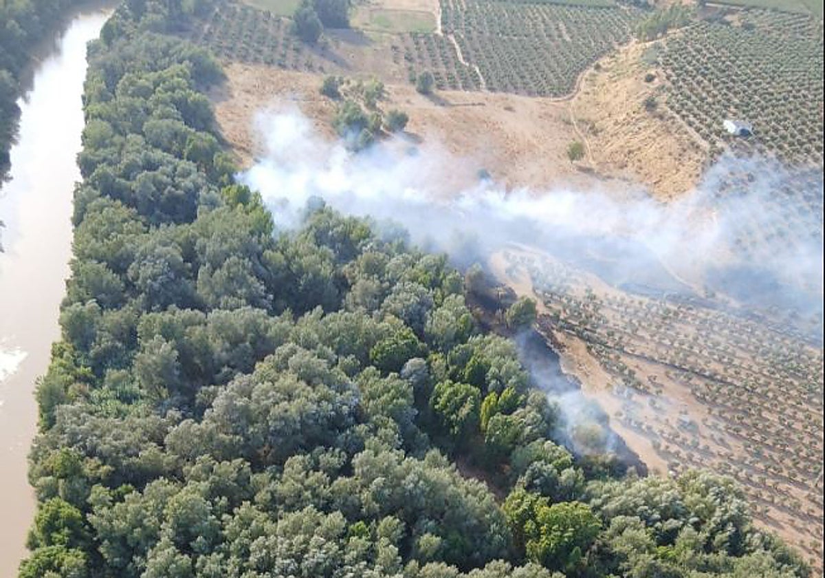 Incendio junto a la orilla del río Guadalquivir