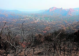 Declaradas 20 zonas de Castilla y León como gravemente afectadas por los incendios forestales