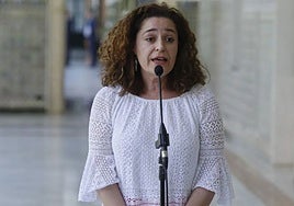 Inmaculada Nieto se descarta como candidata a la Junta de Andalucía: «No es lo razonable ni lo que espero que suceda»