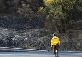 Dos pirómanos enviados a prisión este verano en Málaga