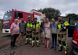 Bomberos de Tenerife rescatan un caballo que se había caído a un barranco en La Esperanza (Tenerife)