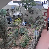 Las cámaras de seguridad graban el asalto violento a una mujer en su vivienda en Tenerife