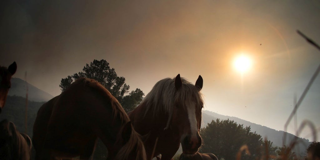 Castilla y León, sin incendios graves después de tres semanas