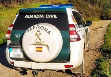 Investigan el ataque de un perro potencialmente peligroso a una vecina de Laguna de Duero