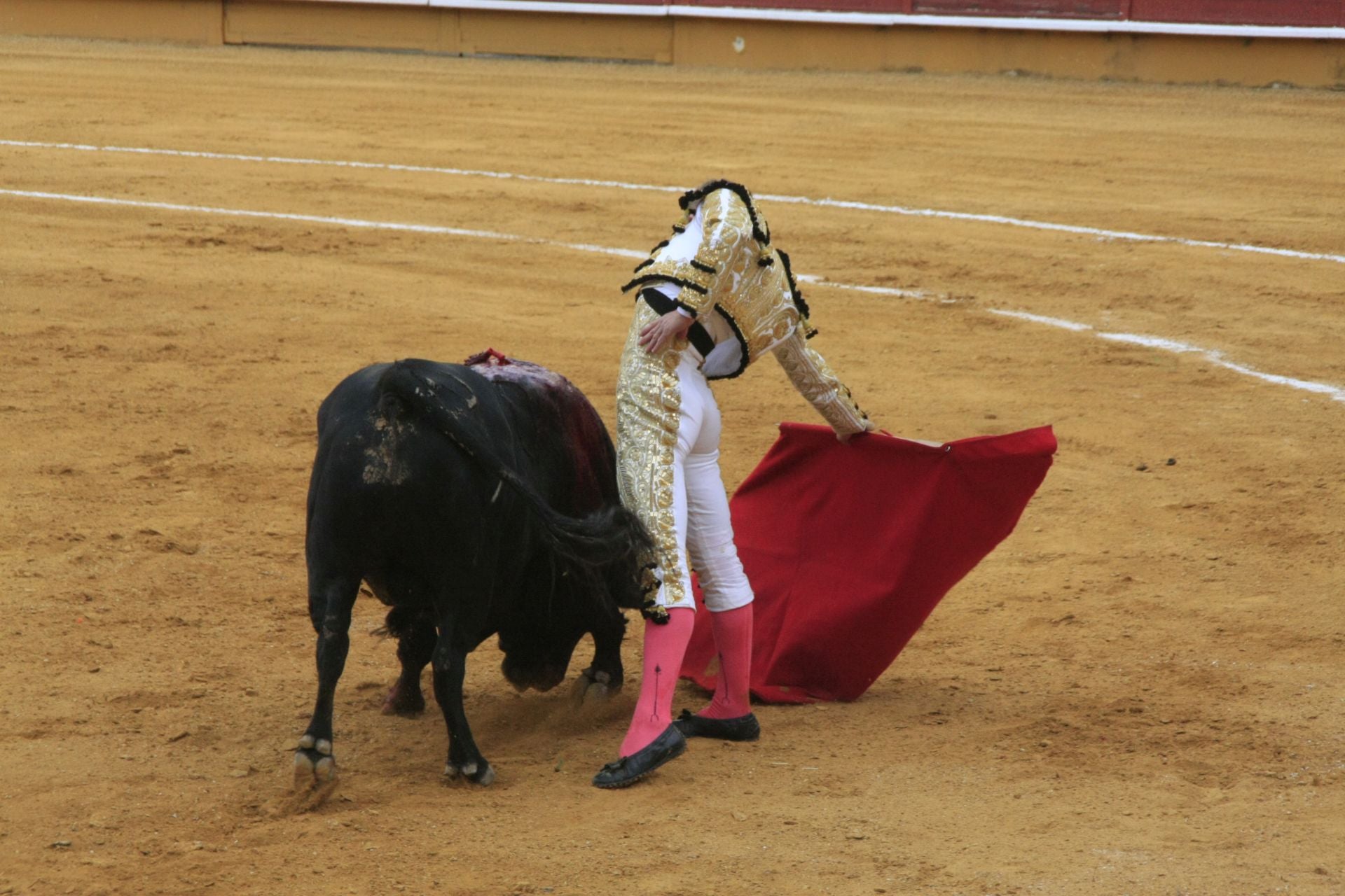 La gran corrida de toros de Priego, en imágenes