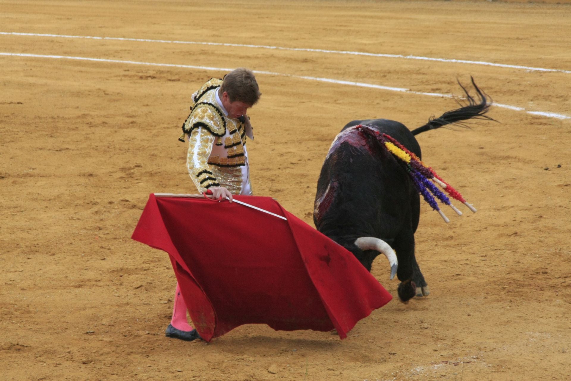 La gran corrida de toros de Priego, en imágenes