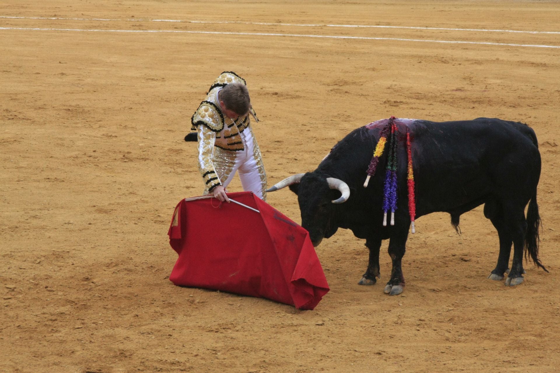 La gran corrida de toros de Priego, en imágenes