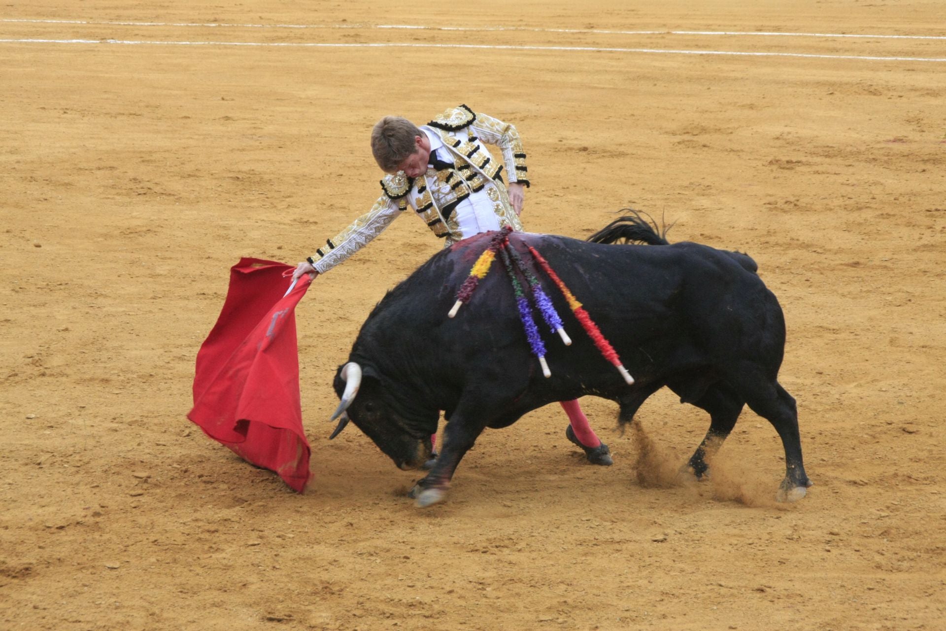 La gran corrida de toros de Priego, en imágenes