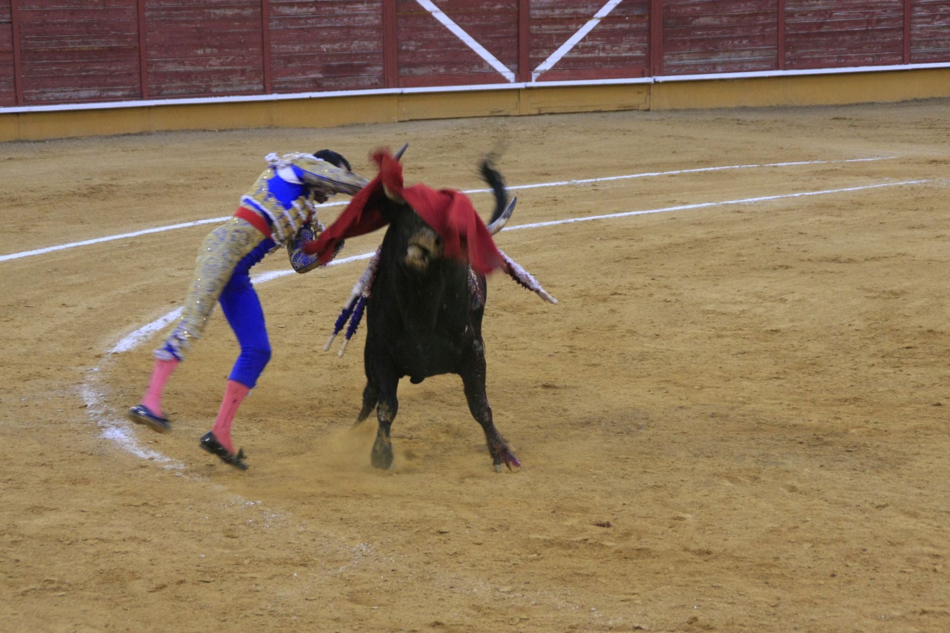 La gran corrida de toros de Priego, en imágenes