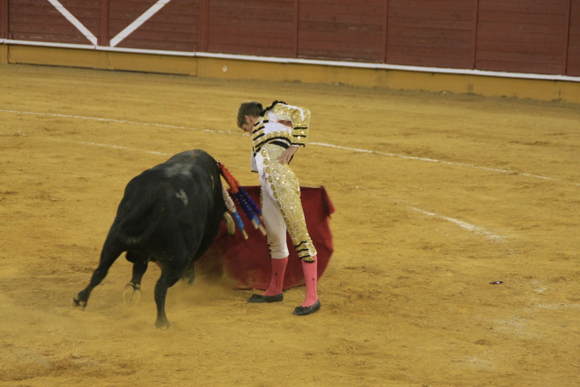 La gran corrida de toros de Priego, en imágenes