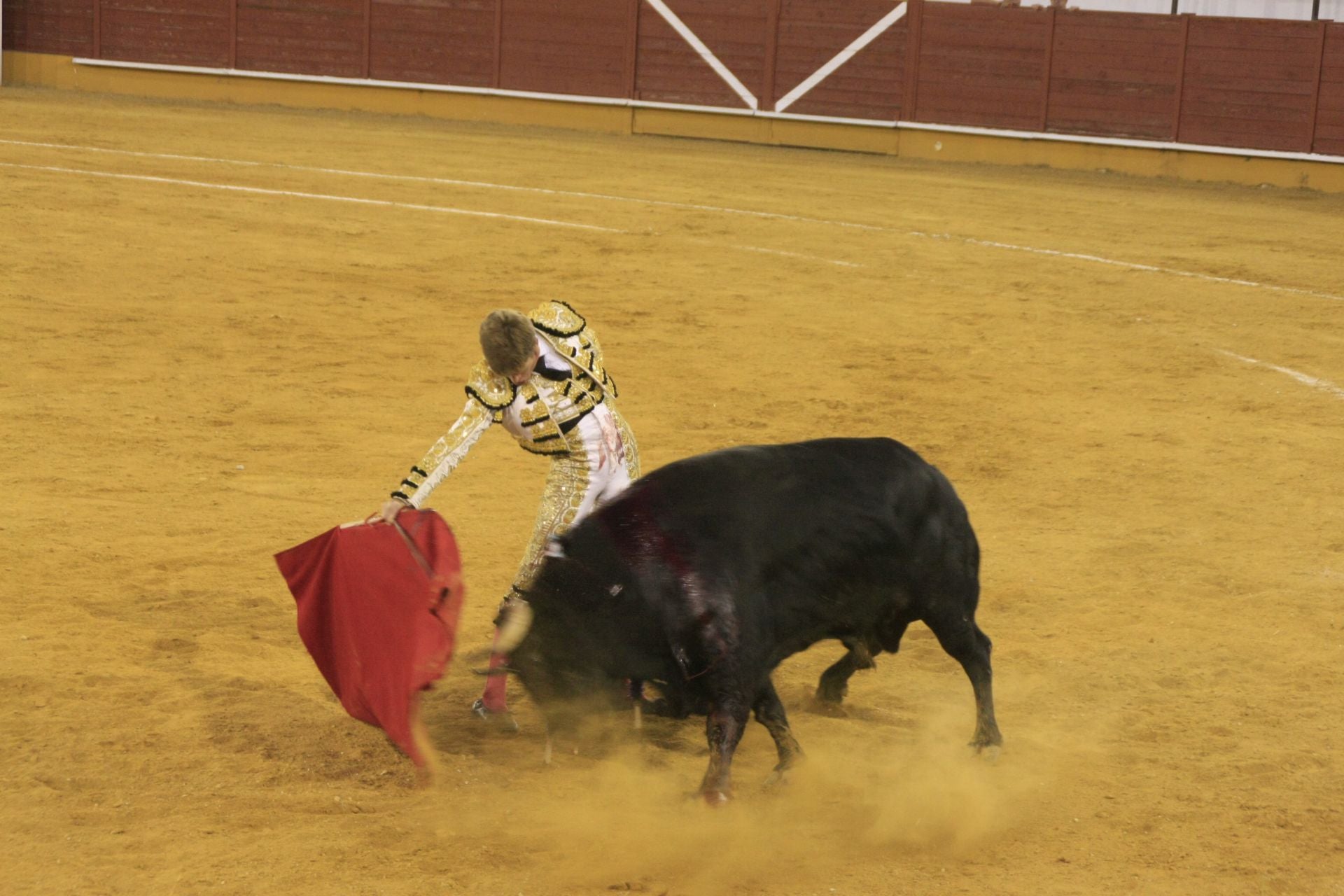 La gran corrida de toros de Priego, en imágenes