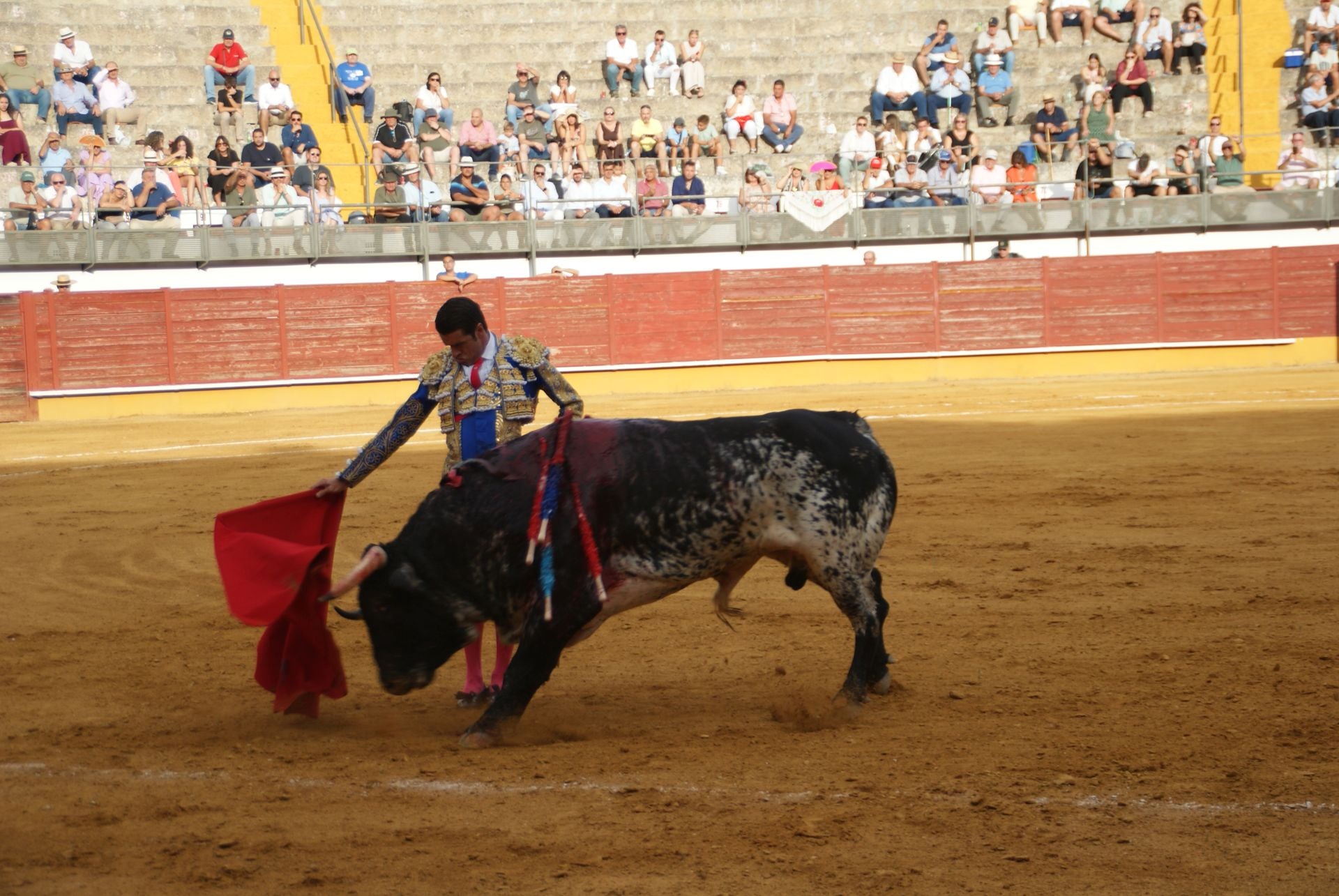 La gran corrida de toros de Priego, en imágenes