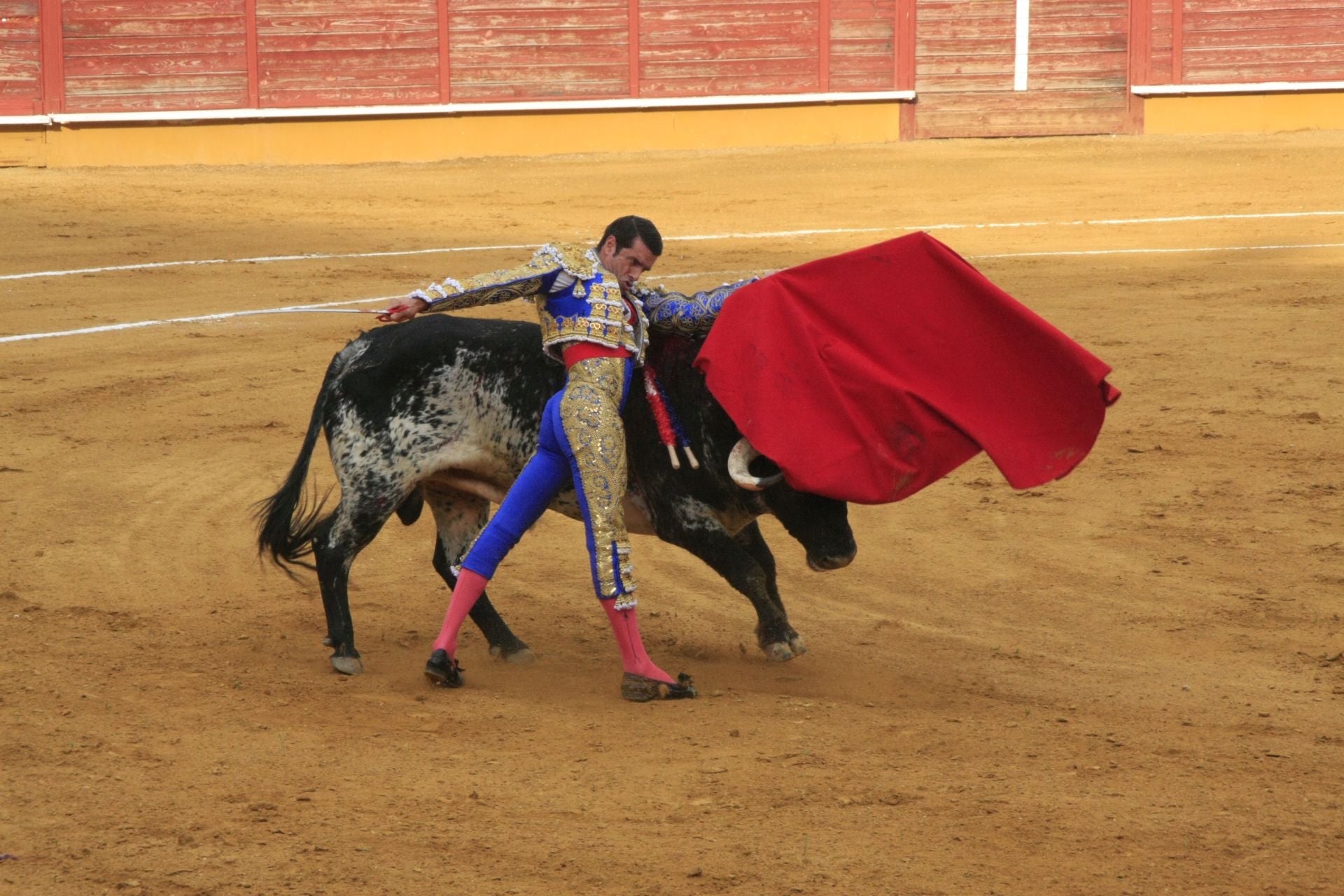La gran corrida de toros de Priego, en imágenes