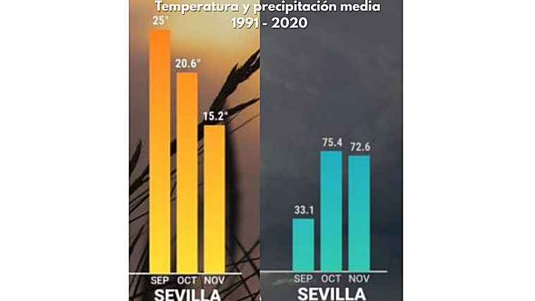 Temperatura y precipitación media en Sevilla
