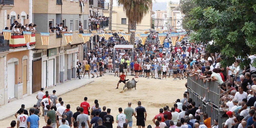 À Punt ofrece en directo el Día Grande de Puçol con la desencajonada de cinco toros