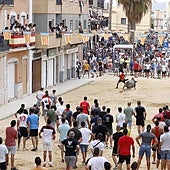À Punt ofrece en directo el Día Grande de Puçol con la desencajonada de cinco toros