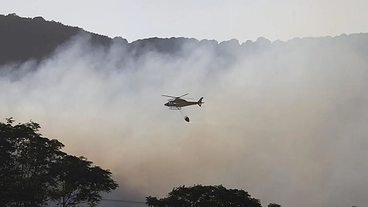 El 85% de los incendios en Andalucía se quedan en conatos de menos de un hectárea