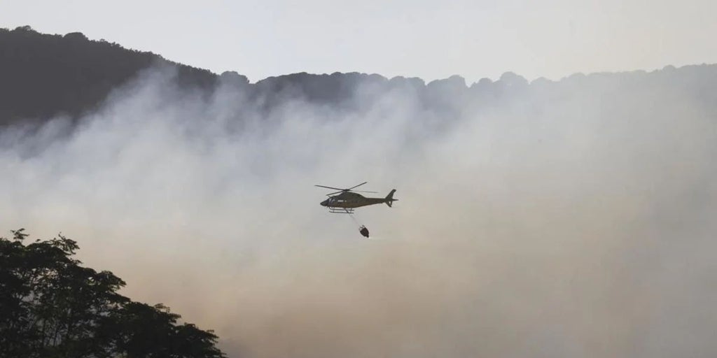 El 85% de los incendios en Andalucía se quedan en conatos de menos de un hectárea