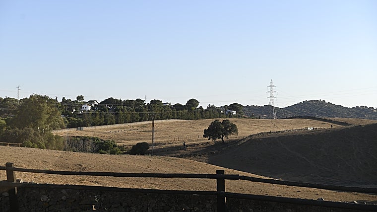 Tapabocas: el tesoro &#039;minero&#039; de La Quinta indultado en Bilbao