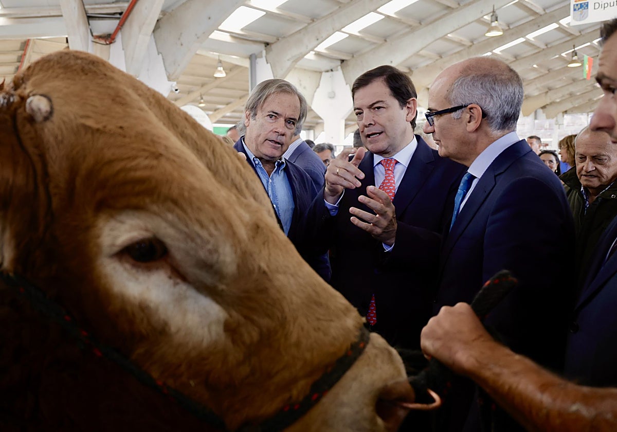 El presidente de la Junta, Alfonso Fernández Mañueco, durante su visita a la feria Salamaq