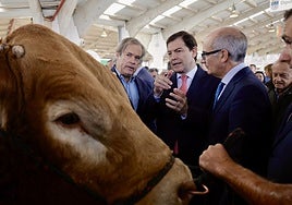 Mañueco anuncia un «ambicioso plan» para impulsar la ganadería extensiva en Castilla y León