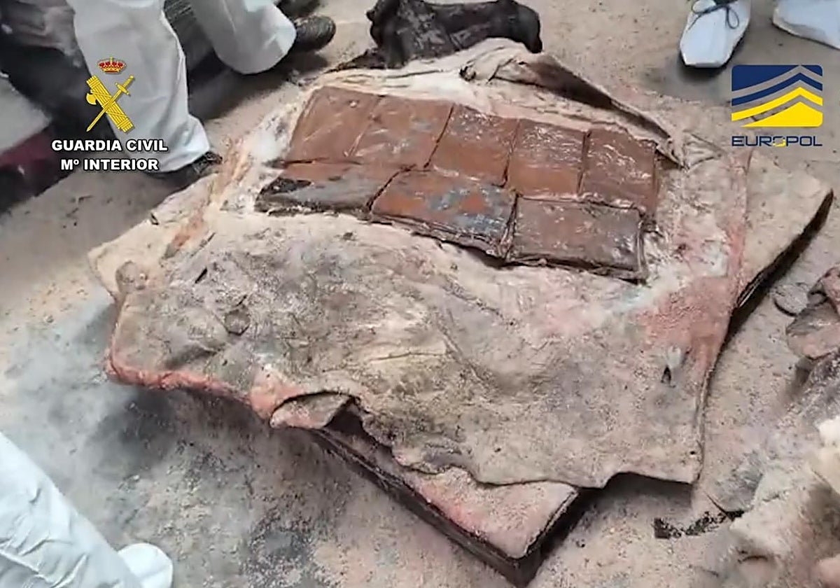 La organización camuflaba la cocaína entre mercancía legal de pieles de bovino