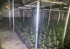 Un incendio destapa un cultivo 'matrioska' con más de 2.000 plantas de marihuana en Alicante