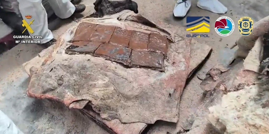 Desmantelada en Galicia una red de cocaína con ramificaciones en Guadalajara e incauta más de dos toneladas de droga