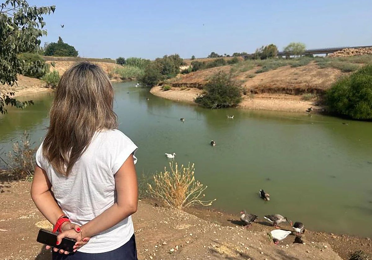 El parque del Tamarguillo de Sevilla