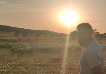 Los ganaderos afectados por la lengua azul: «Es un problema muy grande, pedimos que nos guíen y ayudas ya»