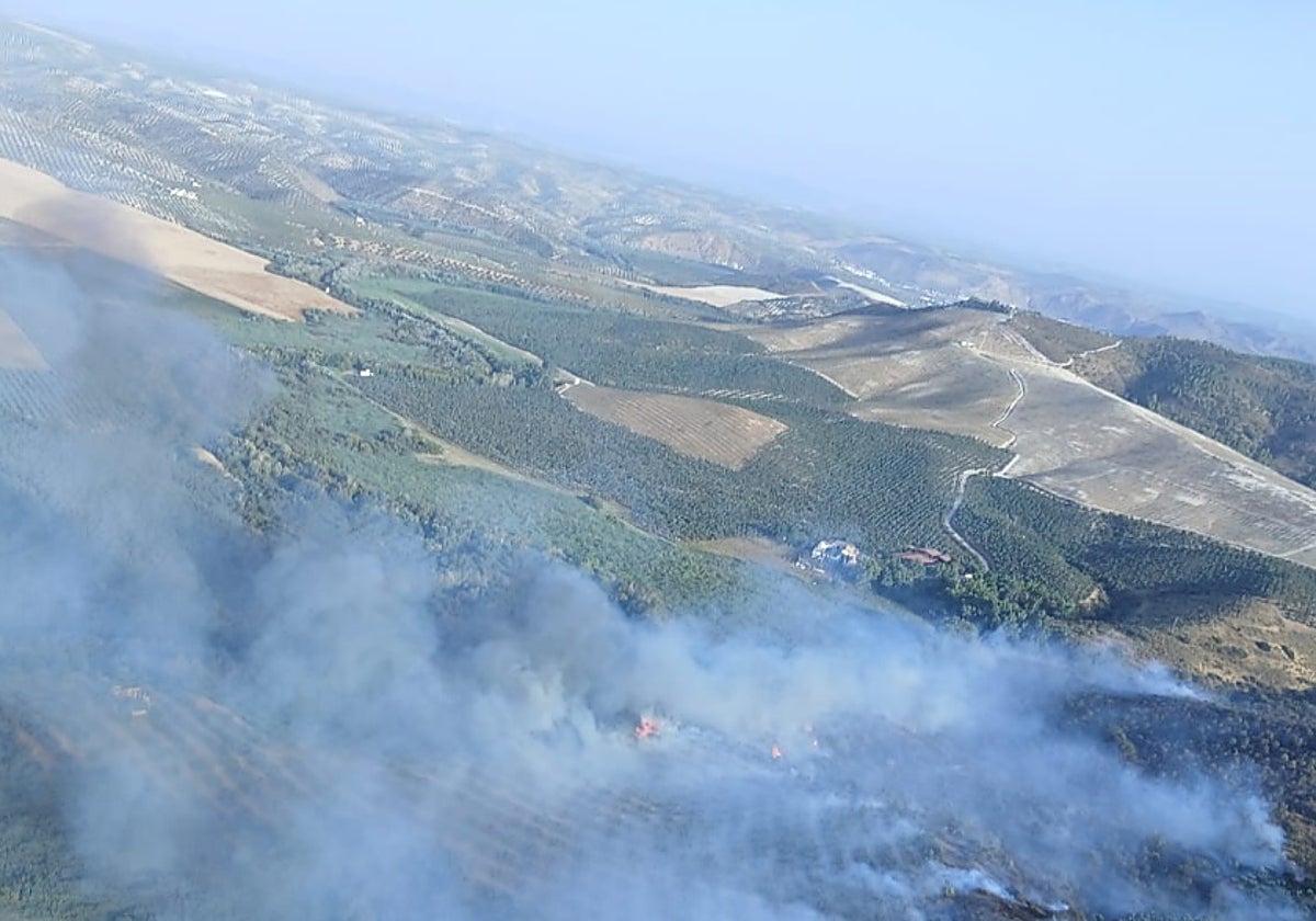Vista de la zona en que se ha declarado el incendio