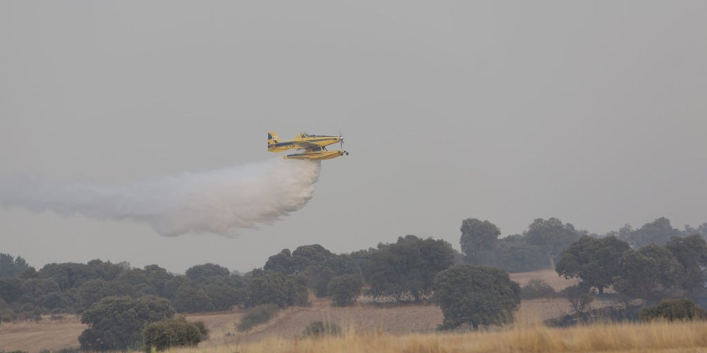 Medios terrestres y aéreos combaten un incendio en Castromil (Zamora)
