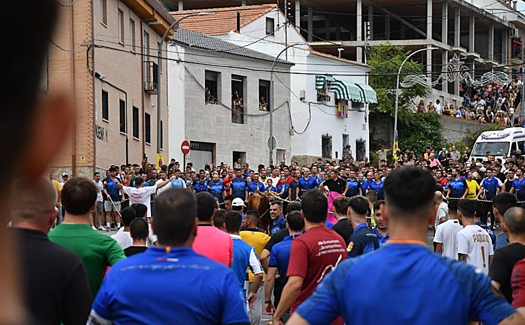 Imagen principal - Yuncos revalida año tras año su condición de referente nacional en la suelta del toro enmaromado