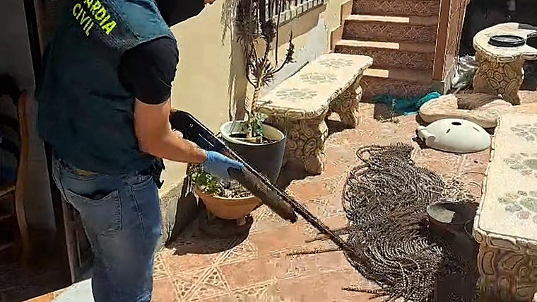 Un agente inspecciona una de las armas intervenidas en una operación contra el petaqueo en Adra