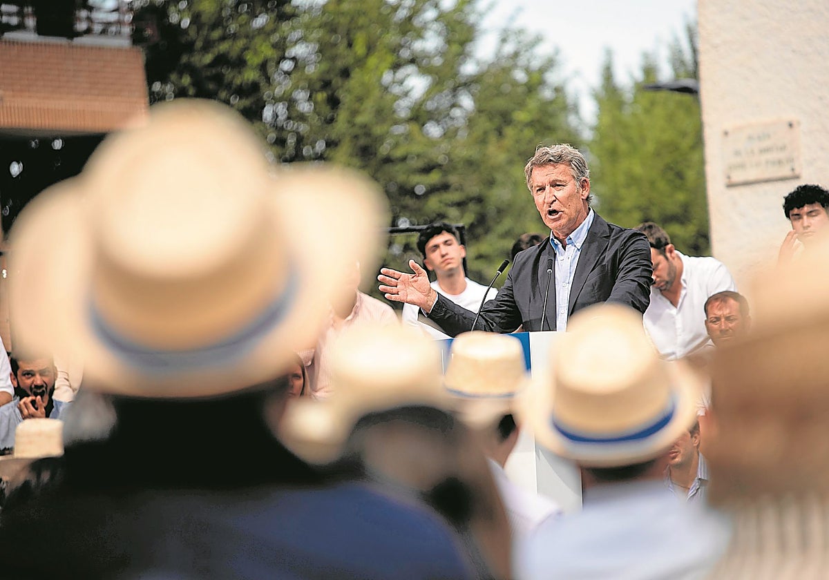 El líder del PP, Alberto Núñez Feijóo