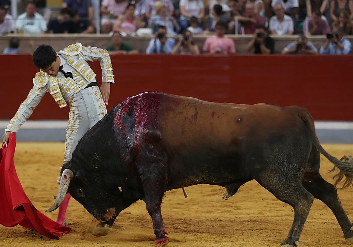 Tomás Bastos hizo una gran faena a 'Enarbolado', elegido el mejor novillo del ciclo