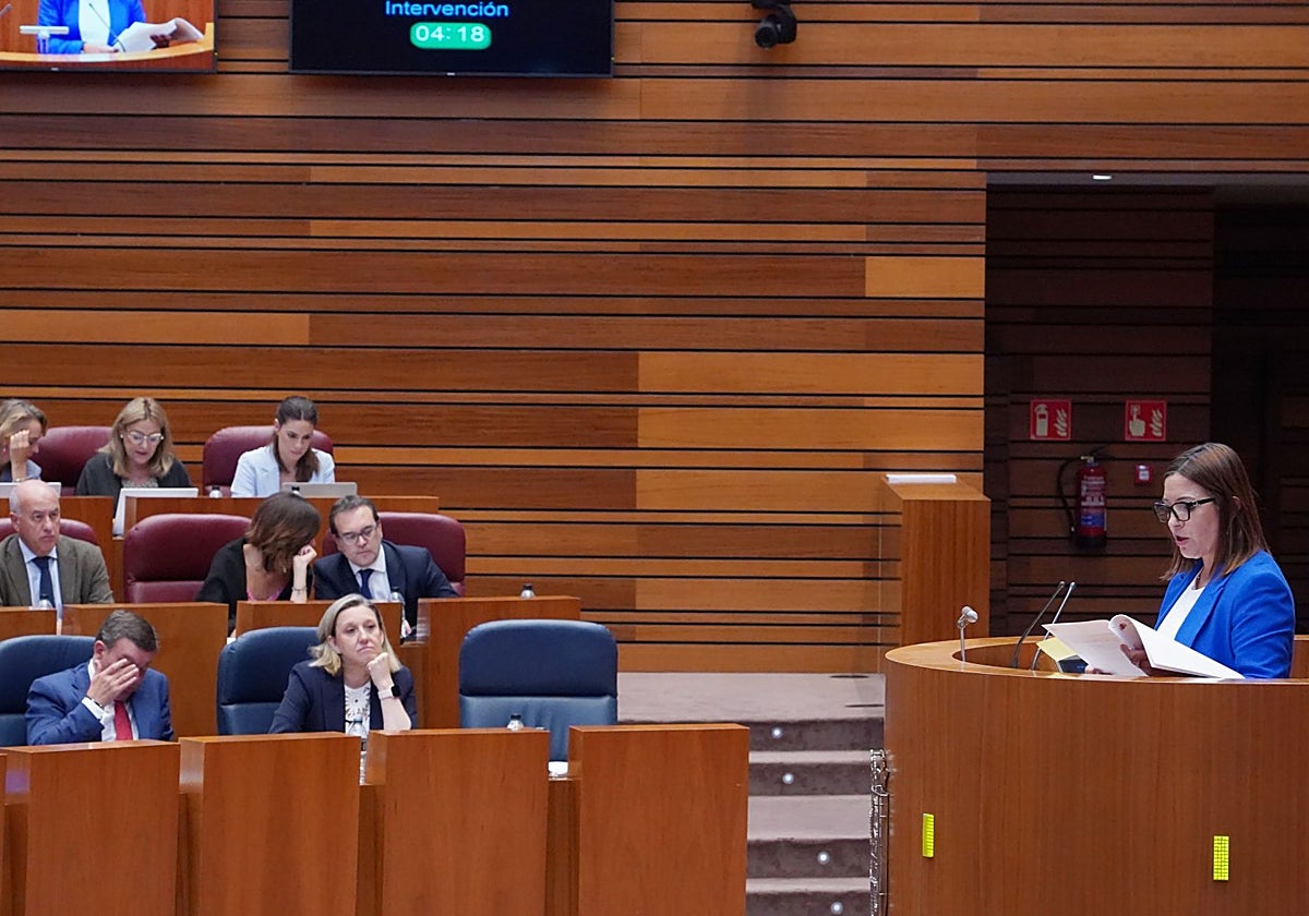 La socialista Rosa Esteban, durante su intervención en el pleno de las Cortes