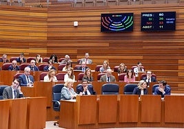 La ley de derechos al final de la vida, tumbada por tercera vez en las Cortes