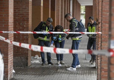 Navajas y puñaladas en Las Margaritas: juicio a cinco acusados por intento de homicidio y lesiones